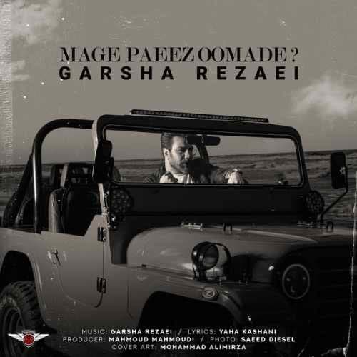 نسخه بیکلام آهنگ مگه پاییز اومده از گرشا رضایی