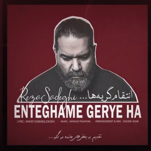 نسخه بیکلام آهنگ انتقام گریه ها از رضا صادقی