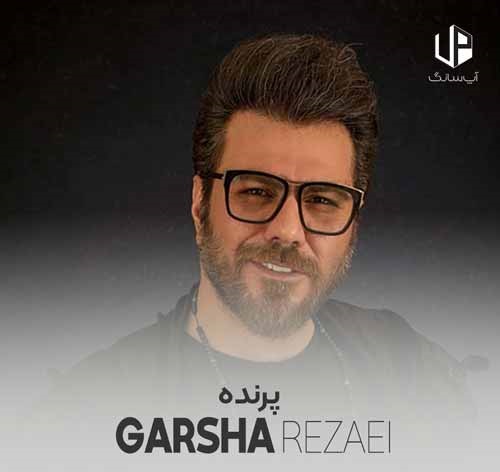 نسخه بیکلام آهنگ پرنده از گرشا رضایی