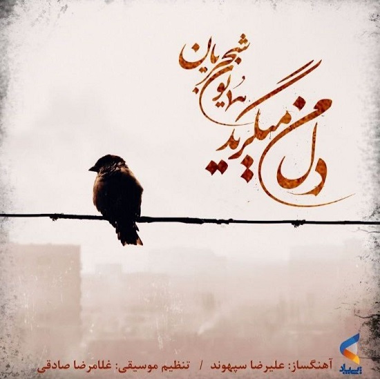 نسخه بیکلام آهنگ دل من میگرید از همایون شجریان