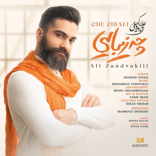 نسخه بیکلام آهنگ چه زیبایی از علی زند وکیلی