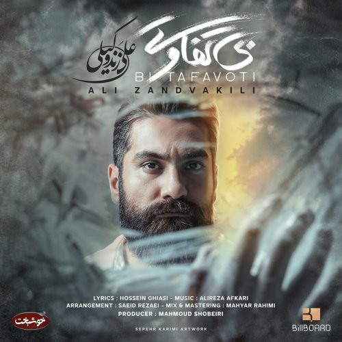 نسخه بیکلام آهنگ بی تفاوتی از علی زند وکیلی