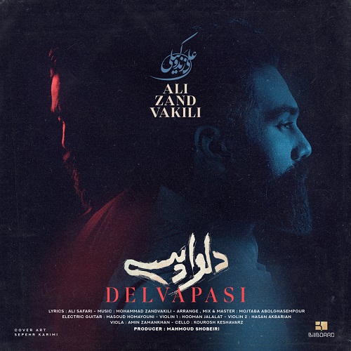 نسخه بیکلام آهنگ دلواپسی از علی زند وکیلی